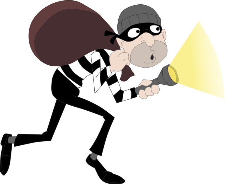 A Quick Guide To Different Types Of Theft